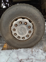Shacman (Shaanxi) SX* 8x4 Самосвал SX331863366 (Дизельный, 12,5 л, 544 л.с., МТ)