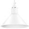 Подвесной светильник Lightstar Loft 765026