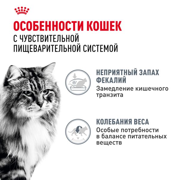 Пауч Royal Canin Digestive Care для взрослых кошек с чувствительным пищеварением, тонкие ломтики в соусе