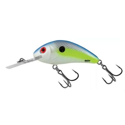 Hornet Rattlin 6.5F