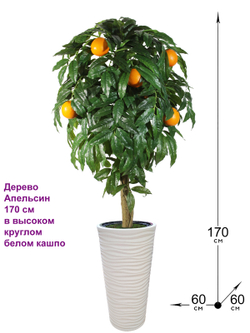 Искусственное дерево Апельсин 170 см в высоком круглом белом кашпо