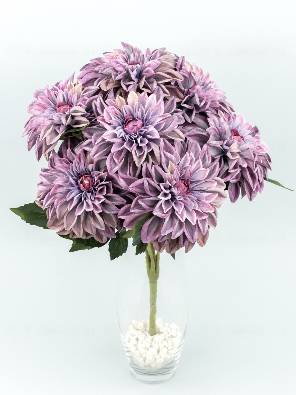 Букет георгина Флория