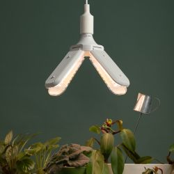 Фитолампа для растений светодиодная ЭРА GREEN LINE ФИТО-40W-PFR-E27-GR 4-х лепестковая полного спектра 40 Вт Е27 | Фитолампы Е27