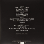 D'Angelo And The Vanguard / Black Messiah (2LP)