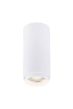 046MZ SWT (1/30) Светильник