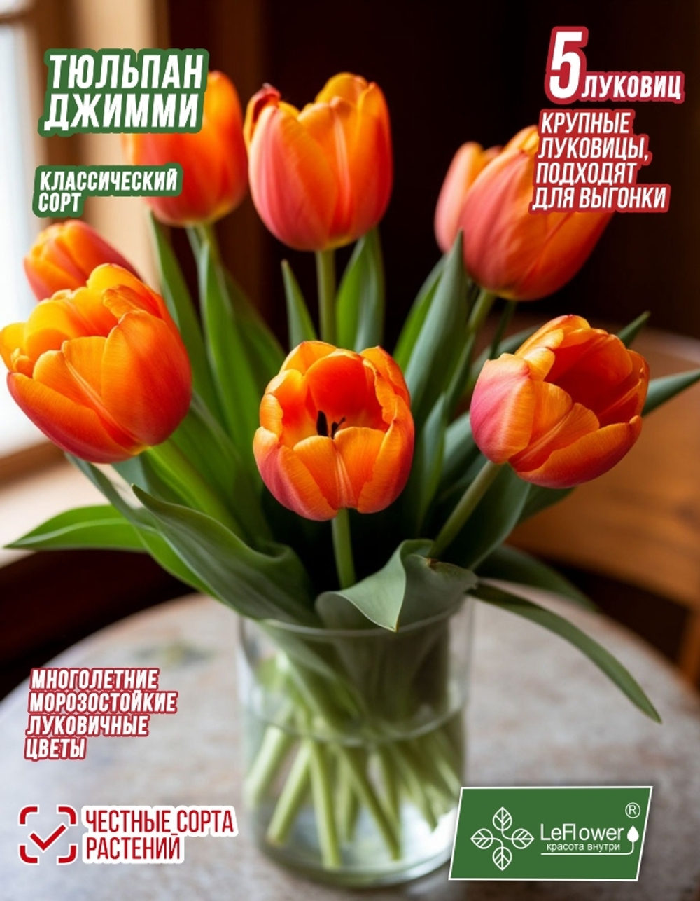 Тюльпан Луковица, Джимми, 5 шт, крупный разбор