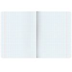 Тетрадь А5, 48 л., BRAUBERG, скоба, клетка, матовая ламинация, выборочный лак, "Гранаты", 404376, 1шт