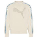 Мужской свитшот PUMA The NeverWorn IV T7 Crew