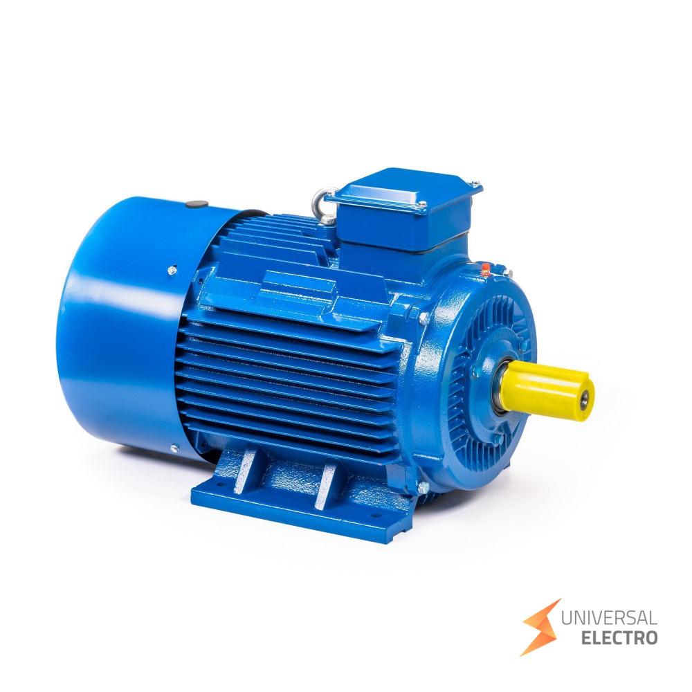 Электрический двигатель 5АИ 200 L6 30/1000 IM 1001