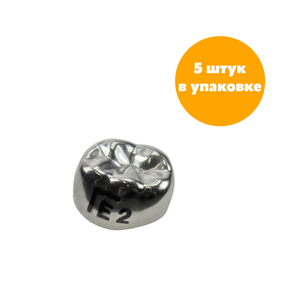 Второй нижний левый моляр, размер 2 (E-LL-2)