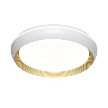 Настенно-потолочный светильник 76W 3000-6000K 7650/ELN белый/золотой PALE Tofiq White Sonex