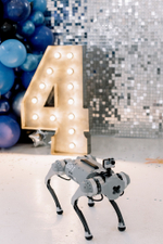 WALL-E Party