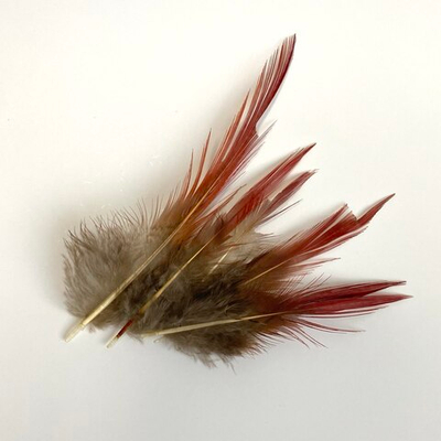 Перья красного фазана 10-13 см. 2 сорт