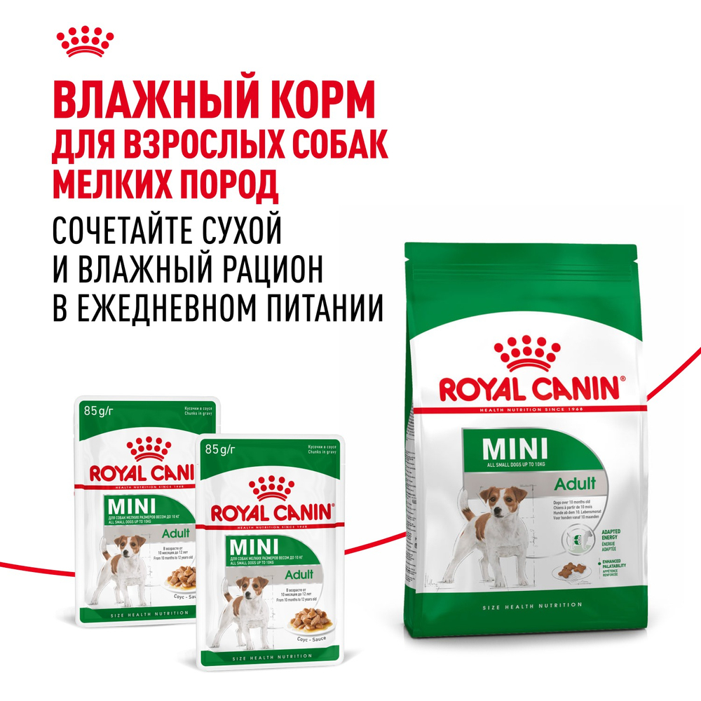 Royal Canin Mini Adult Мини Эдалт Корм сухой для взрослых собак мелких пород от 10 месяцев и старше 4кг