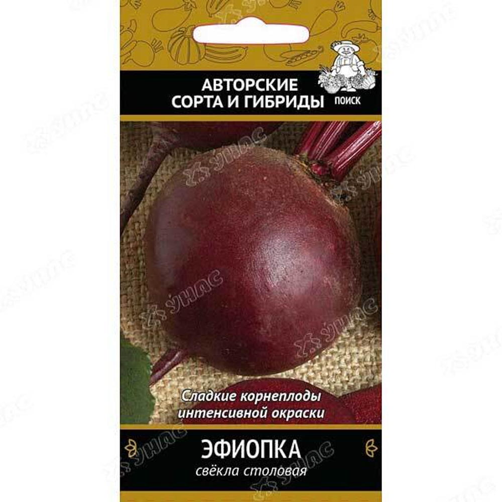 Свекла Эфиопка Поиск Ц