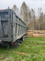 Shacman (Shaanxi) SX* 8x4 Самосвал SX33186V366 (Дизельный, 11,6 л, 423 л.с., МТ)