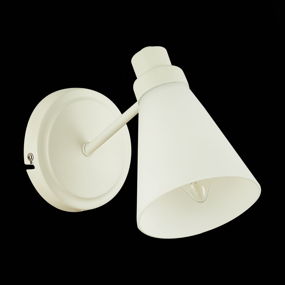 Светильник настенный Evoluce Biane SLE103501-01