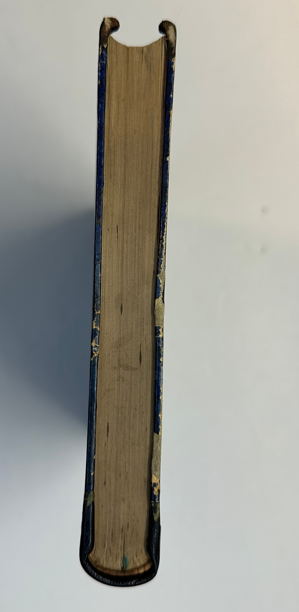 Устрялов Н. Сказания современников о Дмитрии Самозванце в 2 ч. 2-х кн.СПб.,Имп.Акад.Наук, 1859 г.