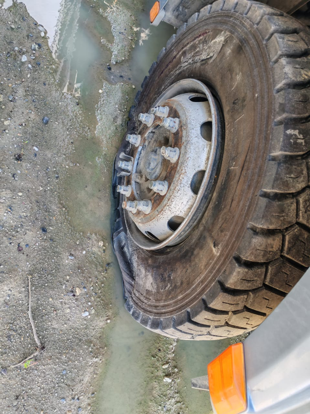 Shacman (Shaanxi) SX* 8x4 Самосвал SX331863366 (Дизельный, 12,5 л, 544 л.с., МТ)