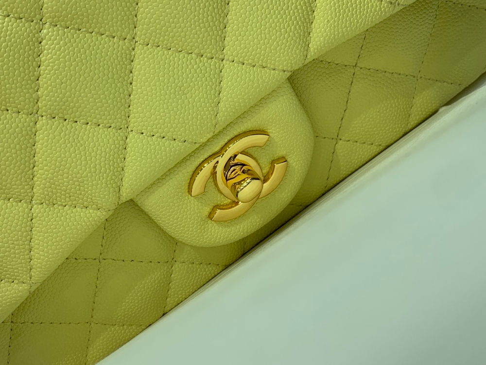 Chanel Bag 20 cm