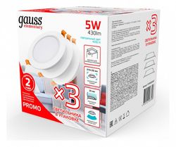 Набор встраиваемых светильников Gauss Elementary Downlight 9100420205T