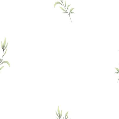 Веточка зелени