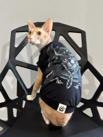 Одежда для кошек сфинкс