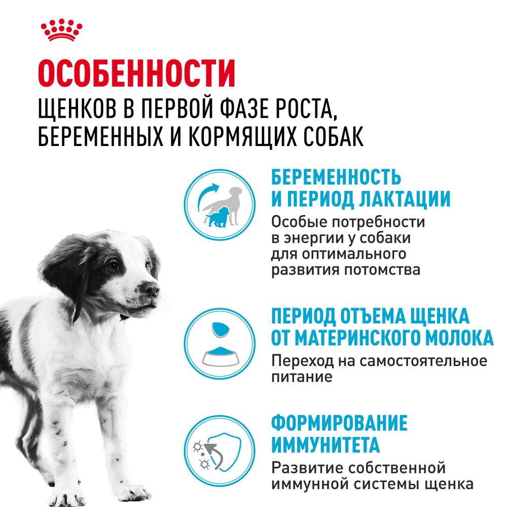 Сухой корм Royal Canin Medium Starter Mother & Babydog для щенков средних размеров в период отъема и до 2х месяцев, беременных и кормящих сук