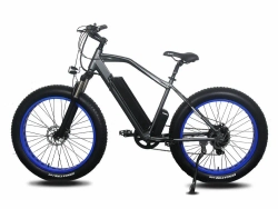 Электрофэтбайк Volt Age ALL ROAD W