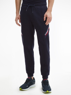 Мужские теннисные штаны Tommy Hilfiger Tape Pant - небесный