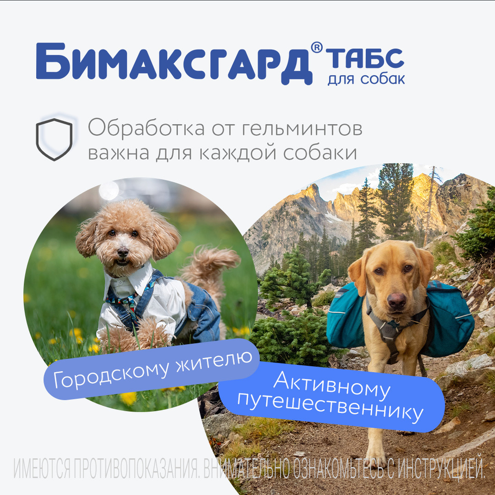 БИМАКСГАРД Табс Таблетки от глистов для крупных собак (2 таблетки)