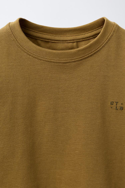 ZARA ФУТБОЛКА HEAVYWEIGHT С ВЫШИВКОЙ, НЕЖНО-КОРИЧНЕВЫЕ ОТТЕНКИ