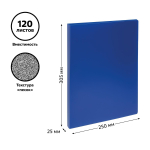 Папка А4 на 2х кольцах 25мм, 500мкм, пластик, синяя (Стамм)