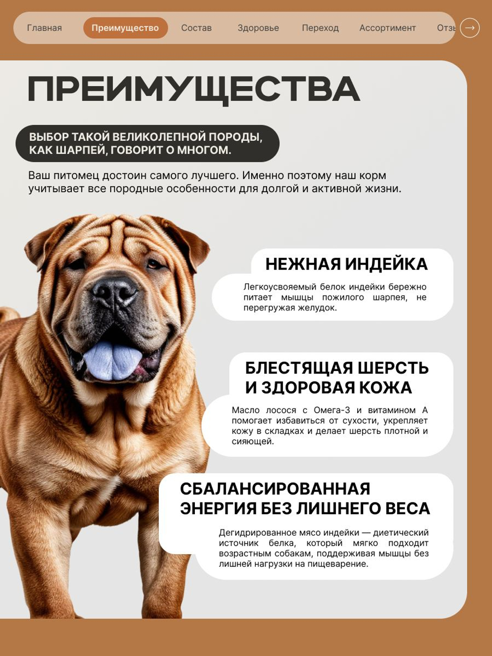 Корм сухой для пожилых собак породы Шарпей старше 5 лет, 3 кг, QUATTRO