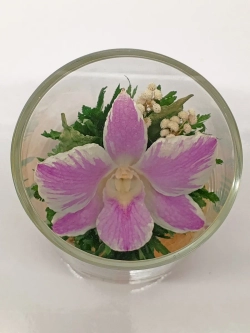 натуральные цветы в стекле, вакуум