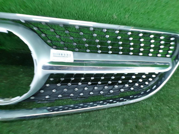 Решетка радиатора Mercedes S C217 (2013-2017)