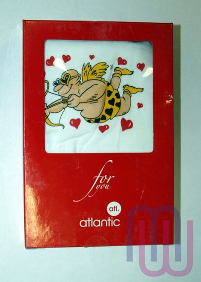 Шорты мужские ATLANTIC MH-318