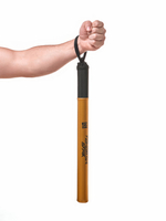 Палки тренерские Tomorrow Star золото NEW пара