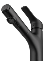 Смеситель для раковины с выдвижным изливом WONZON & WOGHAND, Черный матовый (WW-AE4151-MB)