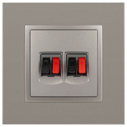 Розетка ЭРА Elegance 14-3112-16 аудио двойная титан