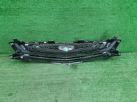 Решетка радиатора Geely Coolray (2019-2024)