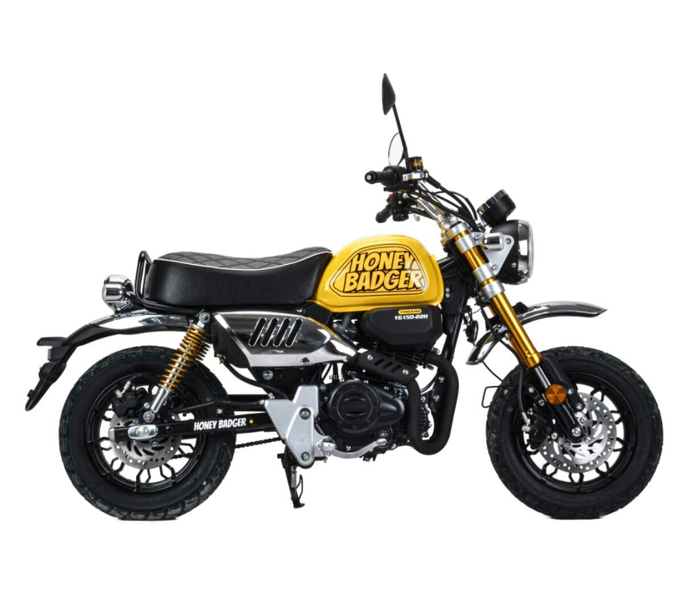 Мотоцикл MOTOLAND Monkey 150 PITBIKE