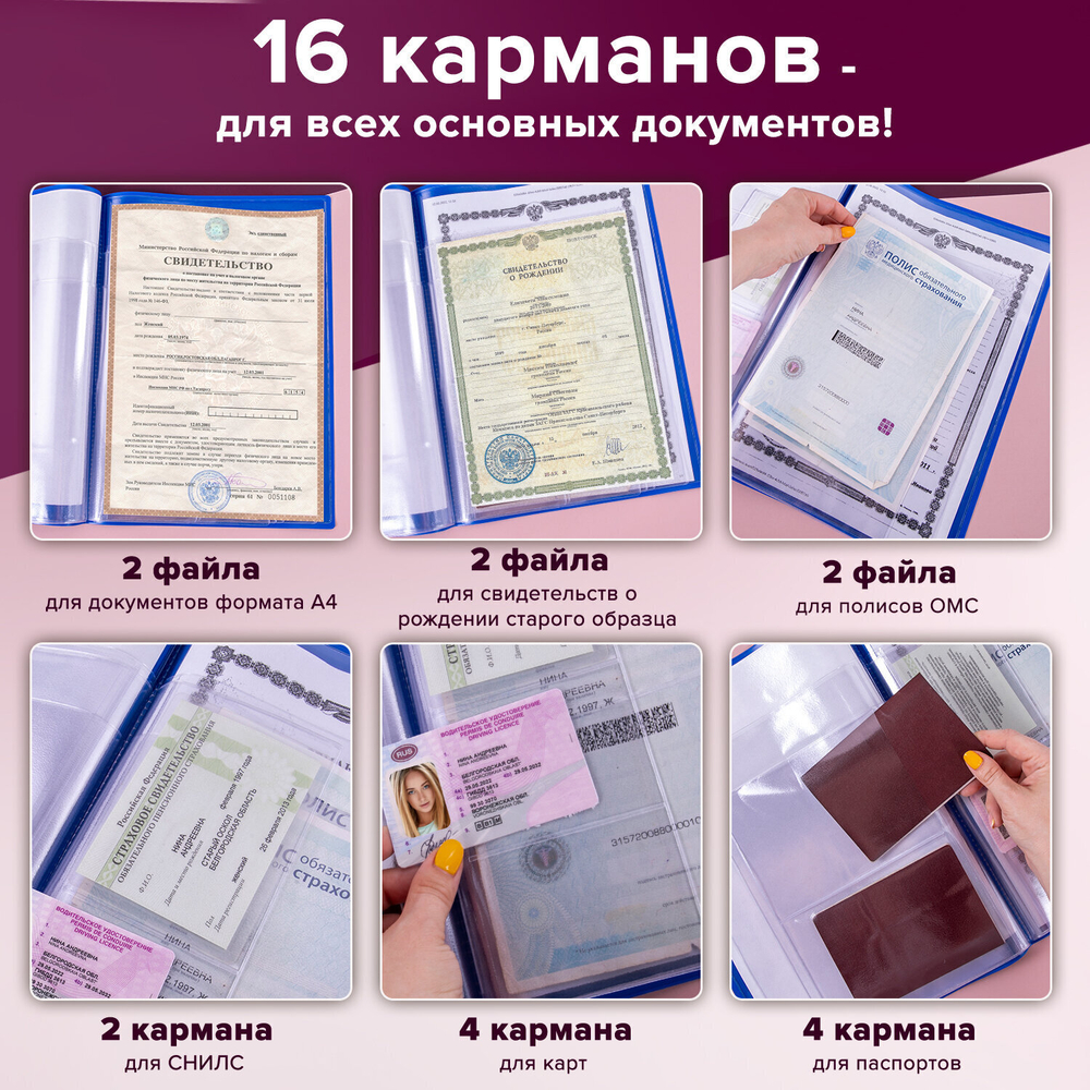 Папка для семейных документов с файлами (паспорта свидетельства полисы СНИЛС) STAFF 16 отделений ПВХ синий (2 штуки в упаковке)