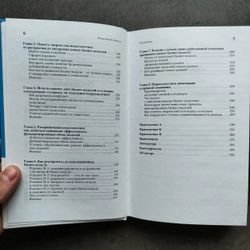 Новая модель бизнеса. Стратегии безболезненных инноваций