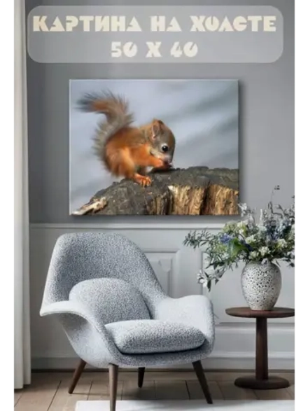 Картина на стену 40 X 50 Белка