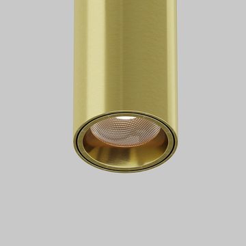 Светильник для штанговой системы освещения 3W 3000К-6000К C105PL-3W3-6K-BS латунь Focus Led Axity Maytoni