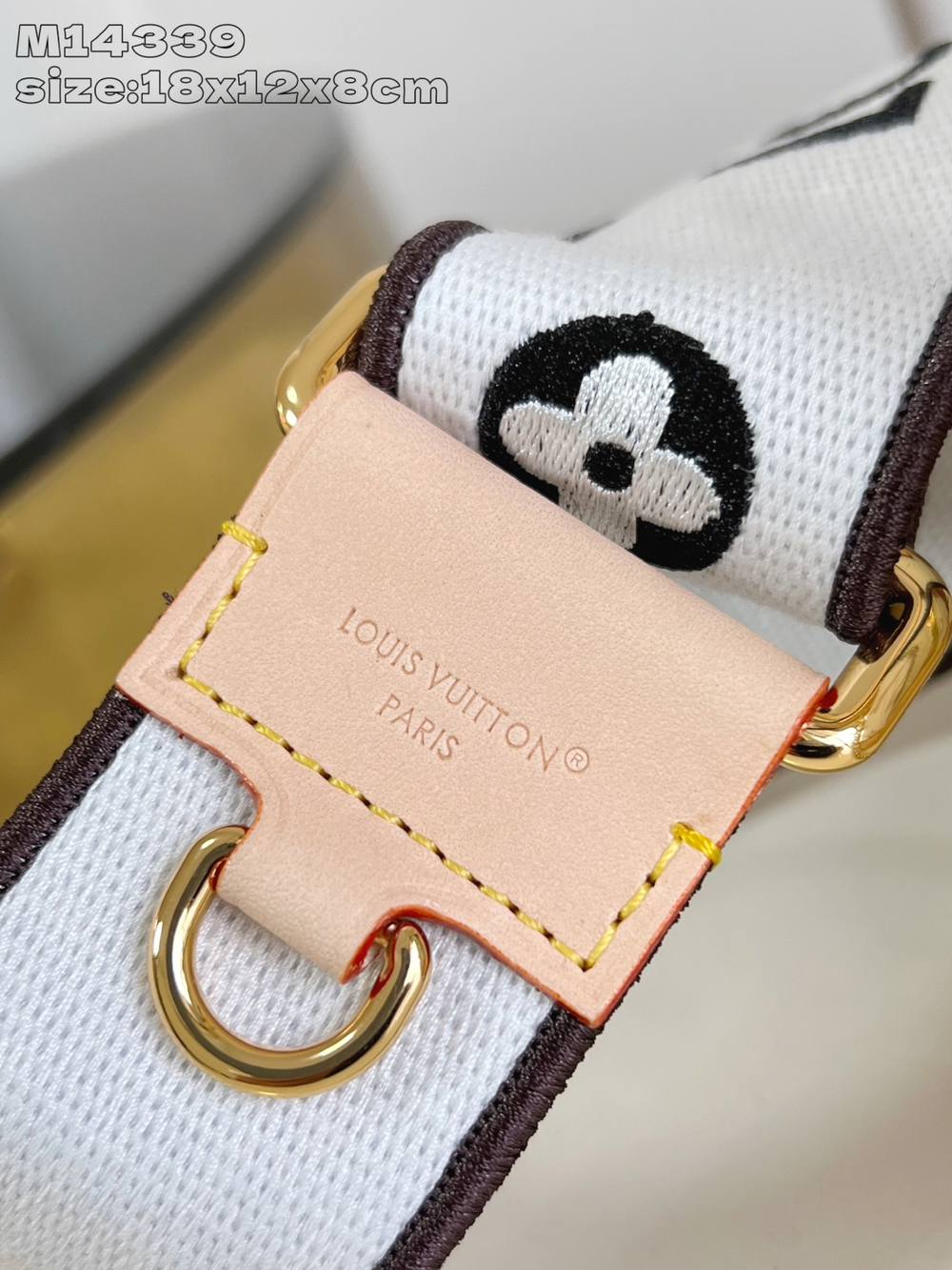Louis Vuitton Nano Alma