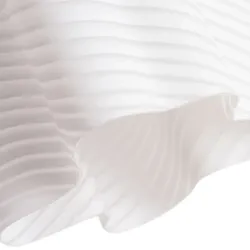 Потолочный светильник Arte Lamp