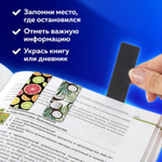 Закладки для книг МАГНИТНЫЕ "FRUITS" набор 6 шт. 60x20 мм BRAUBERG (10 штук в упаковке)