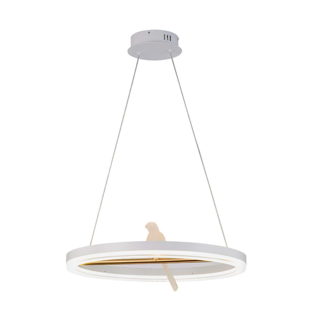 Подвесная светодиодная люстра F-Promo Bardy 4653-1P